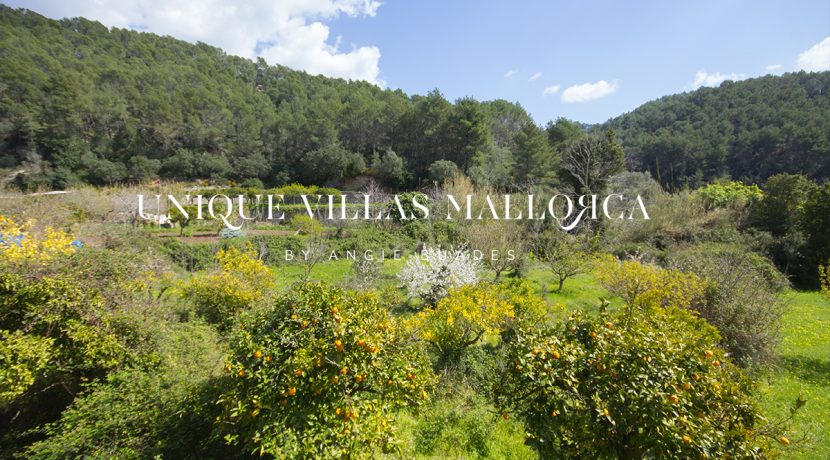 country-house-for-sale-in-calvia-uvm236.27