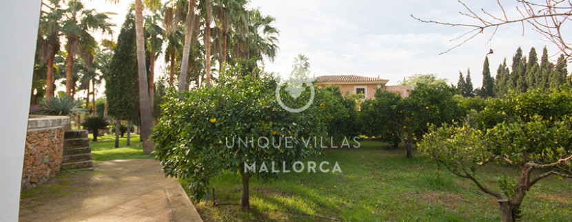 unique villas mallorca finca for sale in sencelles garden