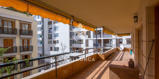 Flat to be Reformed for Sale in Palma Center-uvm158